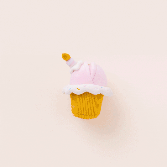 Birthday Cupcake 2-in-1 Bounce Dog Toy