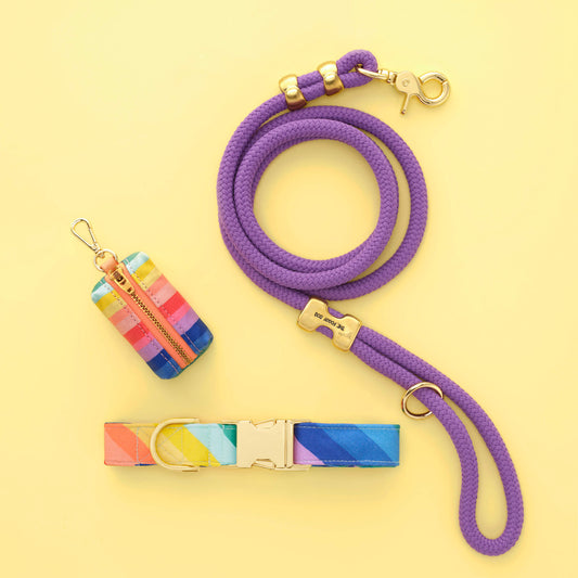 Over the Rainbow Collar Walk Set